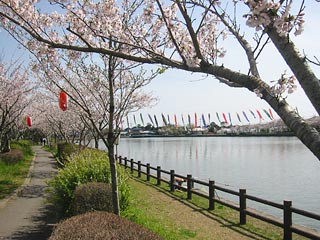 袋公園